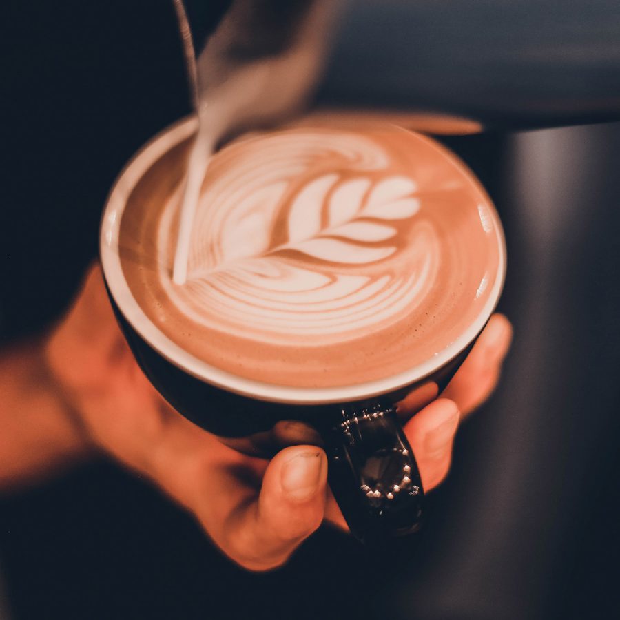 Sumatra Gayo Arabica